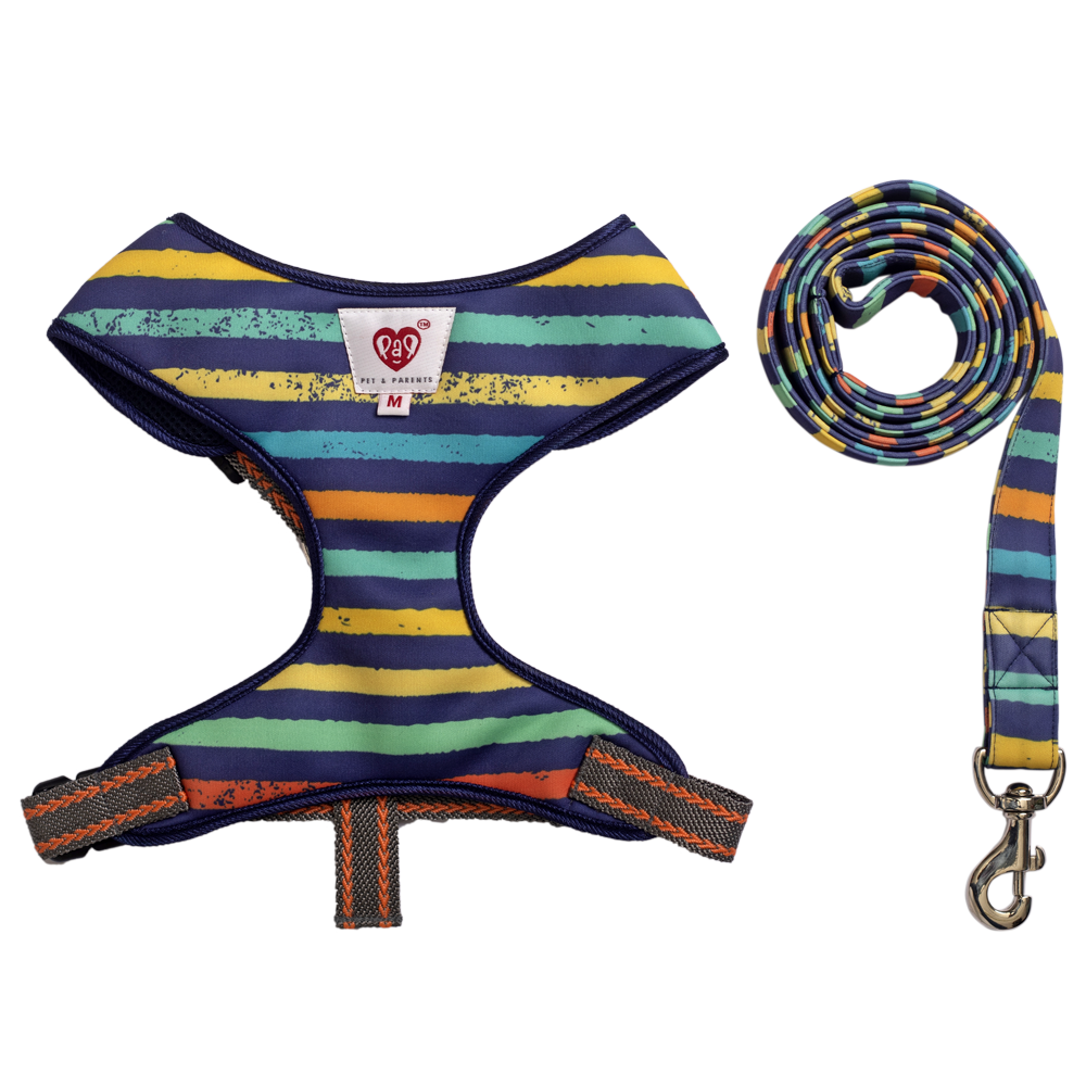 Pet And Parents (Namaste Pets) Multi Stripes Padded Harness + Leash for Dogs