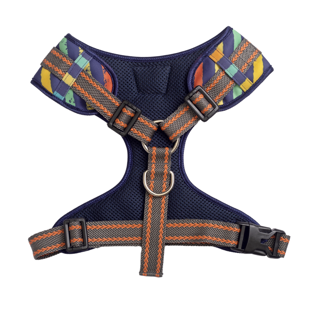 Pet And Parents (Namaste Pets) Multi Stripes Padded Harness + Leash for Dogs