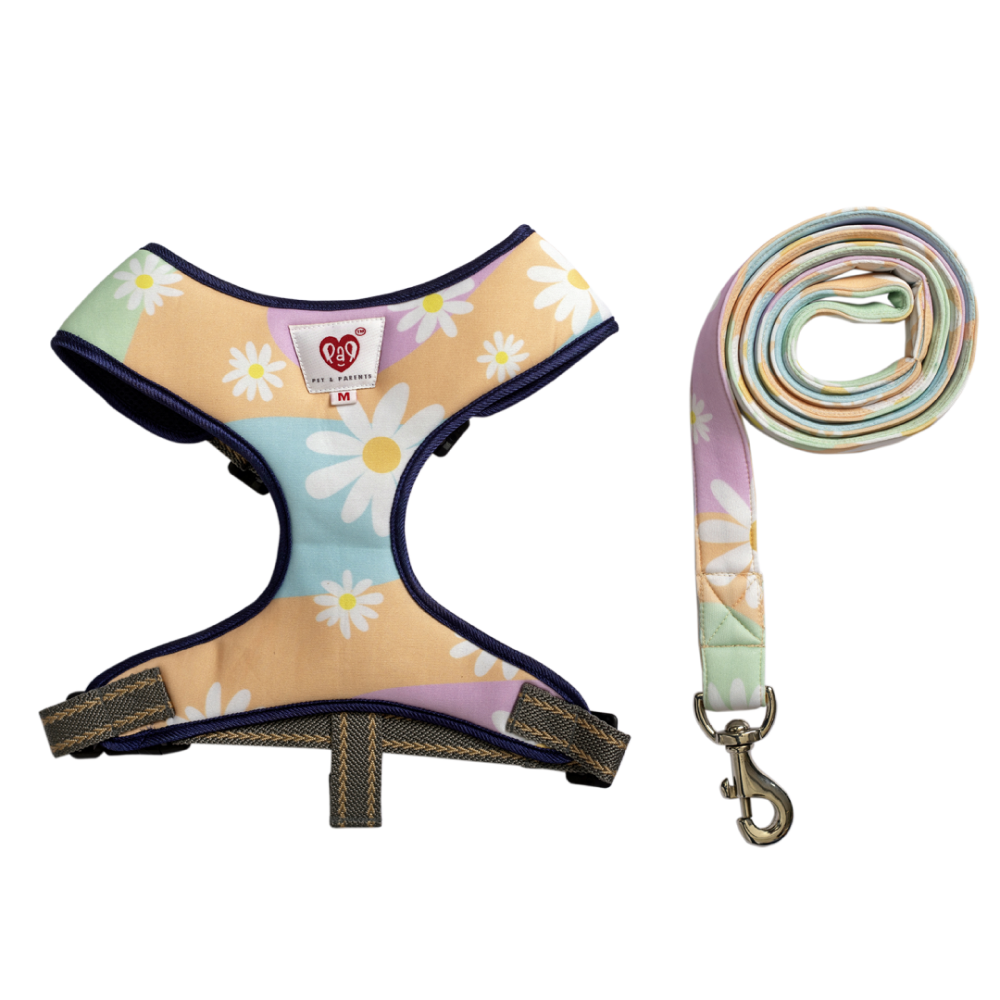 Pet And Parents (Namaste Pets) Darling Daisy Padded Harness + Leash for Dogs