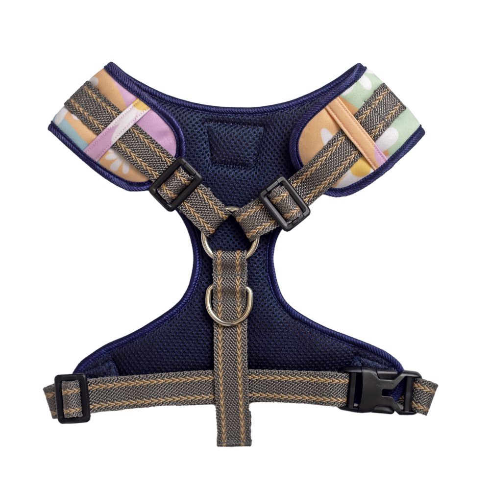 Pet And Parents (Namaste Pets) Darling Daisy Padded Harness + Leash for Dogs