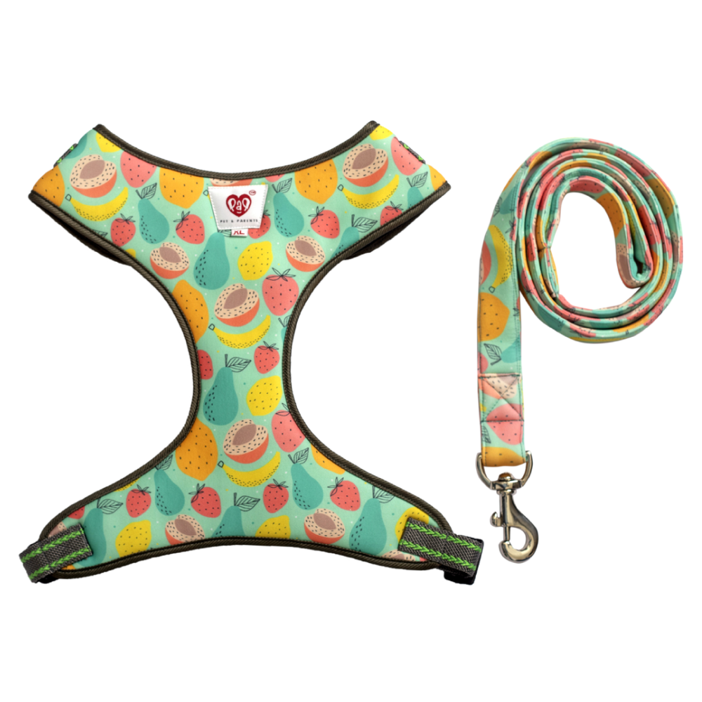 Pet And Parents (Namaste Pets) Peaches and Pear Padded Harness + Leash for Dogs