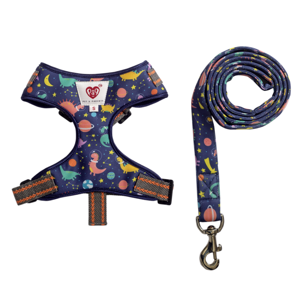 Pet And Parents (Namaste Pets) Dino Star Padded Harness + Leash for Dogs