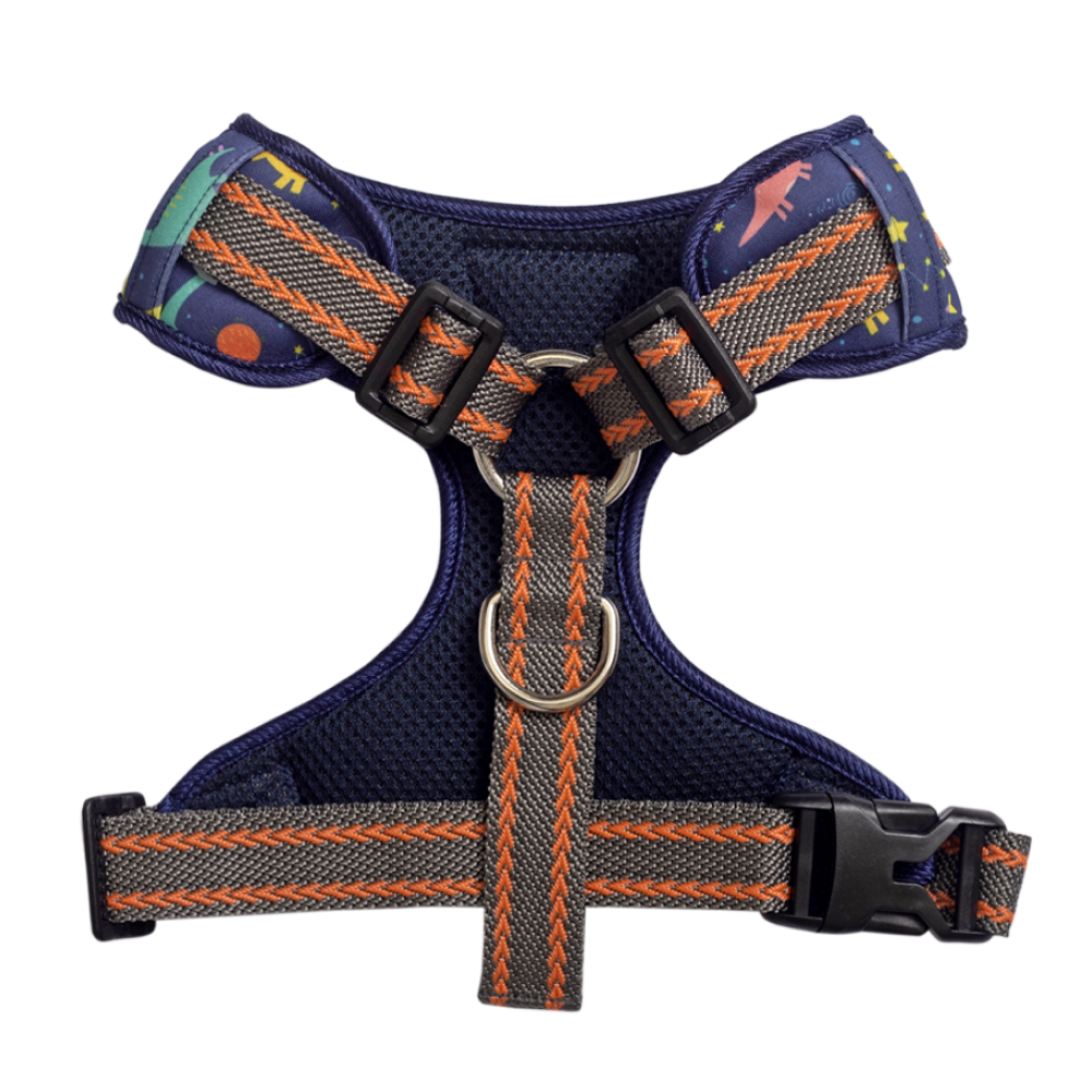 Pet And Parents (Namaste Pets) Dino Star Padded Harness + Leash for Dogs