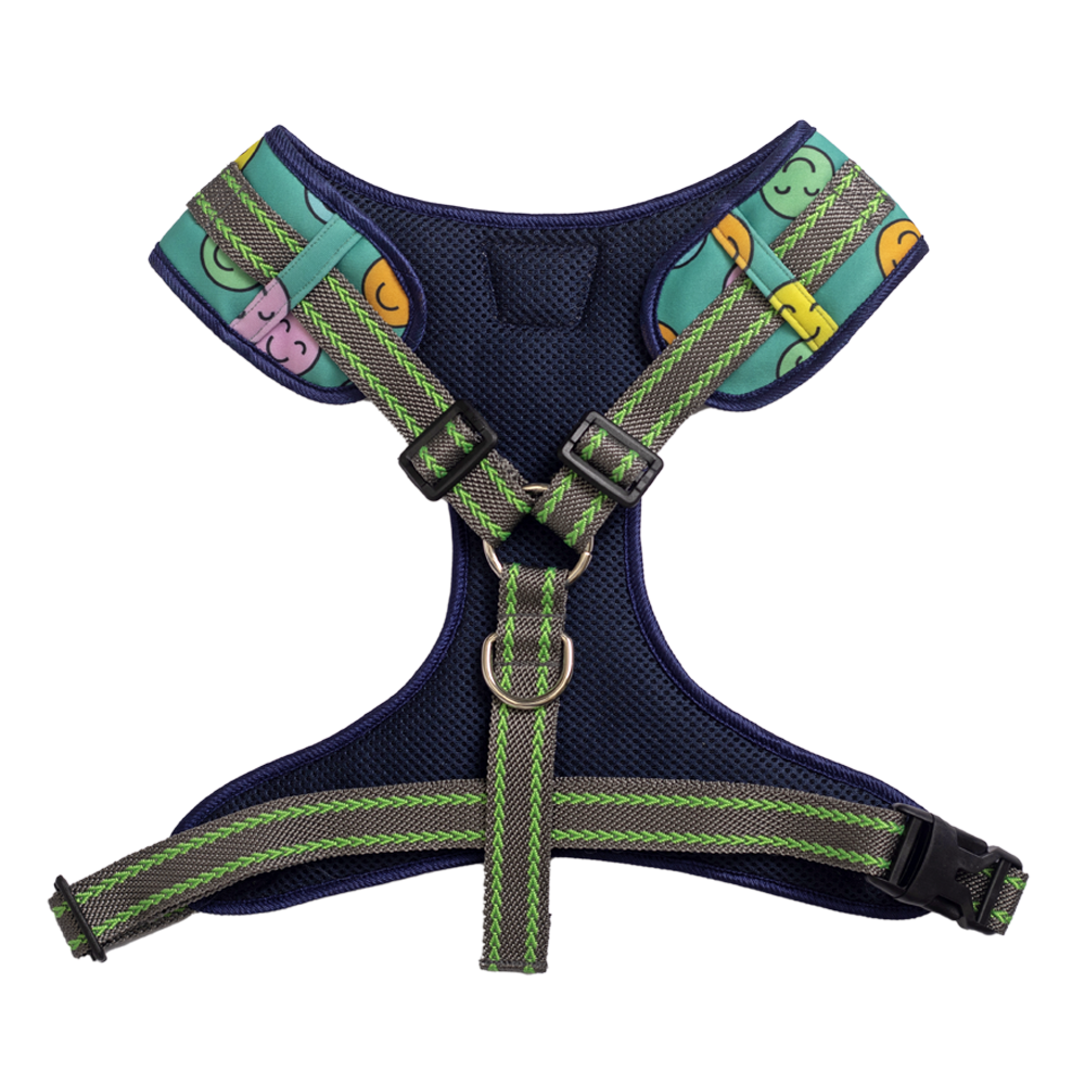 Pet And Parents (Namaste Pets) Happy Smiley Padded Harness + Leash for Dogs