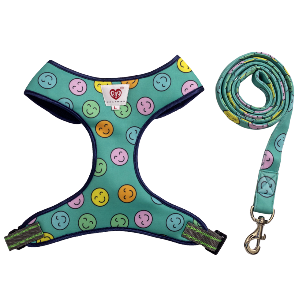 Pet And Parents (Namaste Pets) Happy Smiley Padded Harness + Leash for Dogs