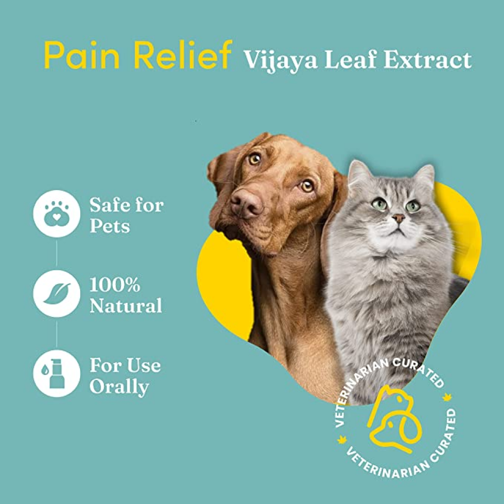 Vedic Tails Pain Relief Full Spectrum CBD Oil for Pets