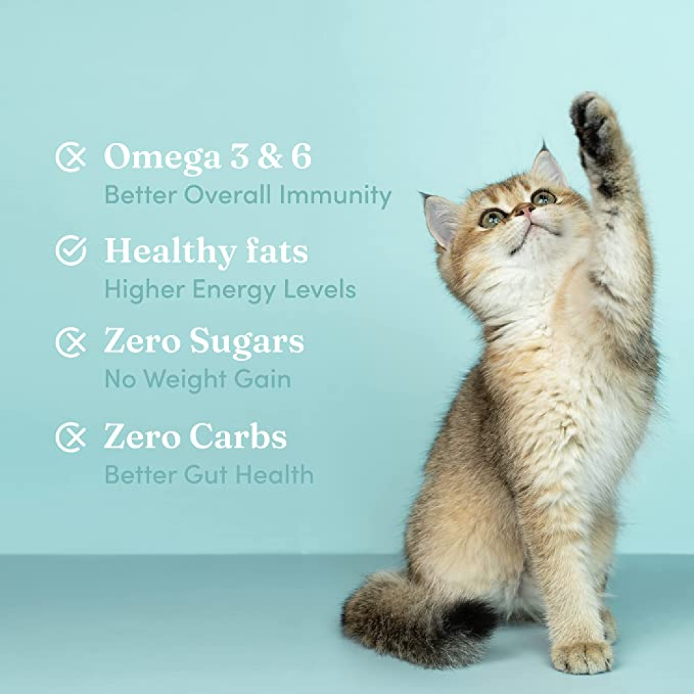 Vedic Tails Pain Relief Full Spectrum CBD Oil for Pets