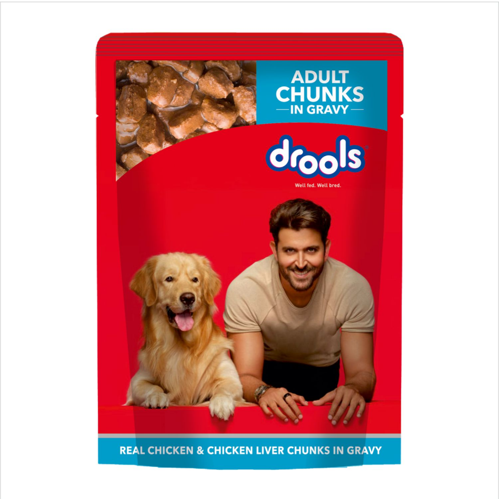 Drools Special Gift Pack for Dogs (Set of 11-Food, Treats and Toys)