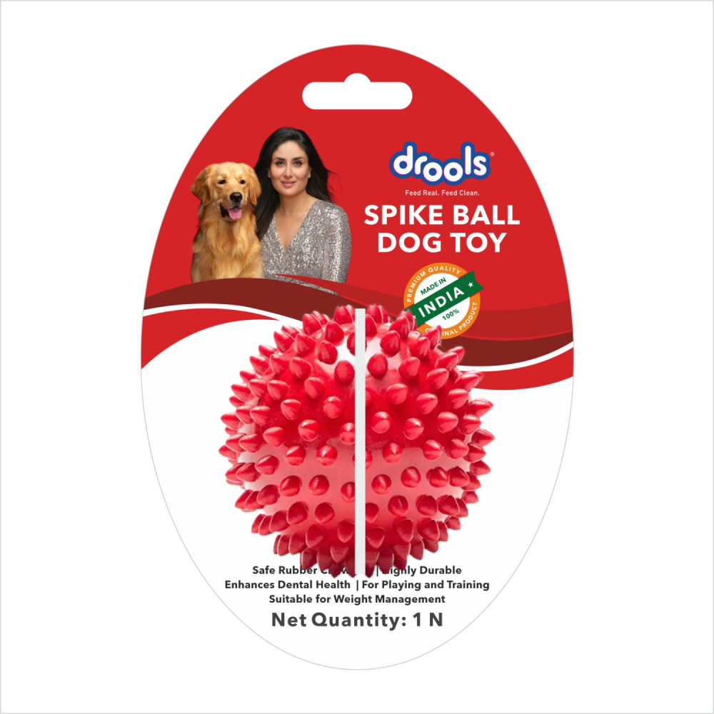 Drools Special Gift Pack for Dogs (Set of 11-Food, Treats and Toys)