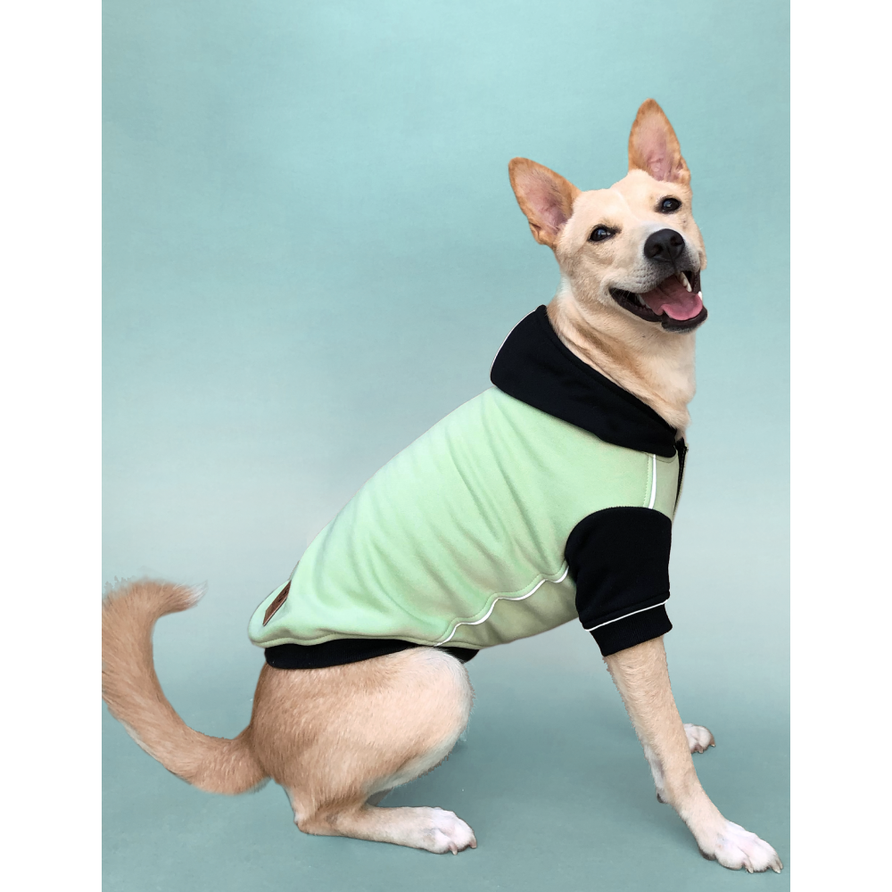 Pets Way Snowflake Sweatshirt for Dogs (Sage)