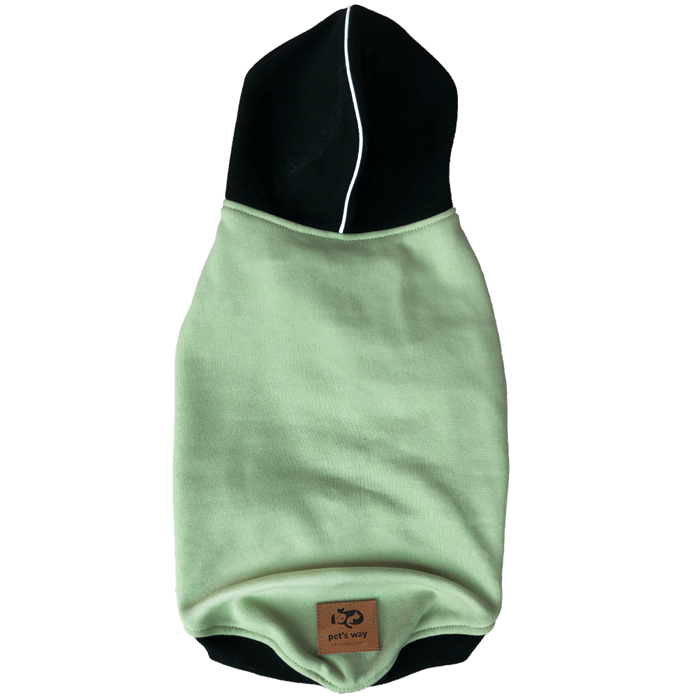 Pets Way Snowflake Sweatshirt for Dogs (Sage)