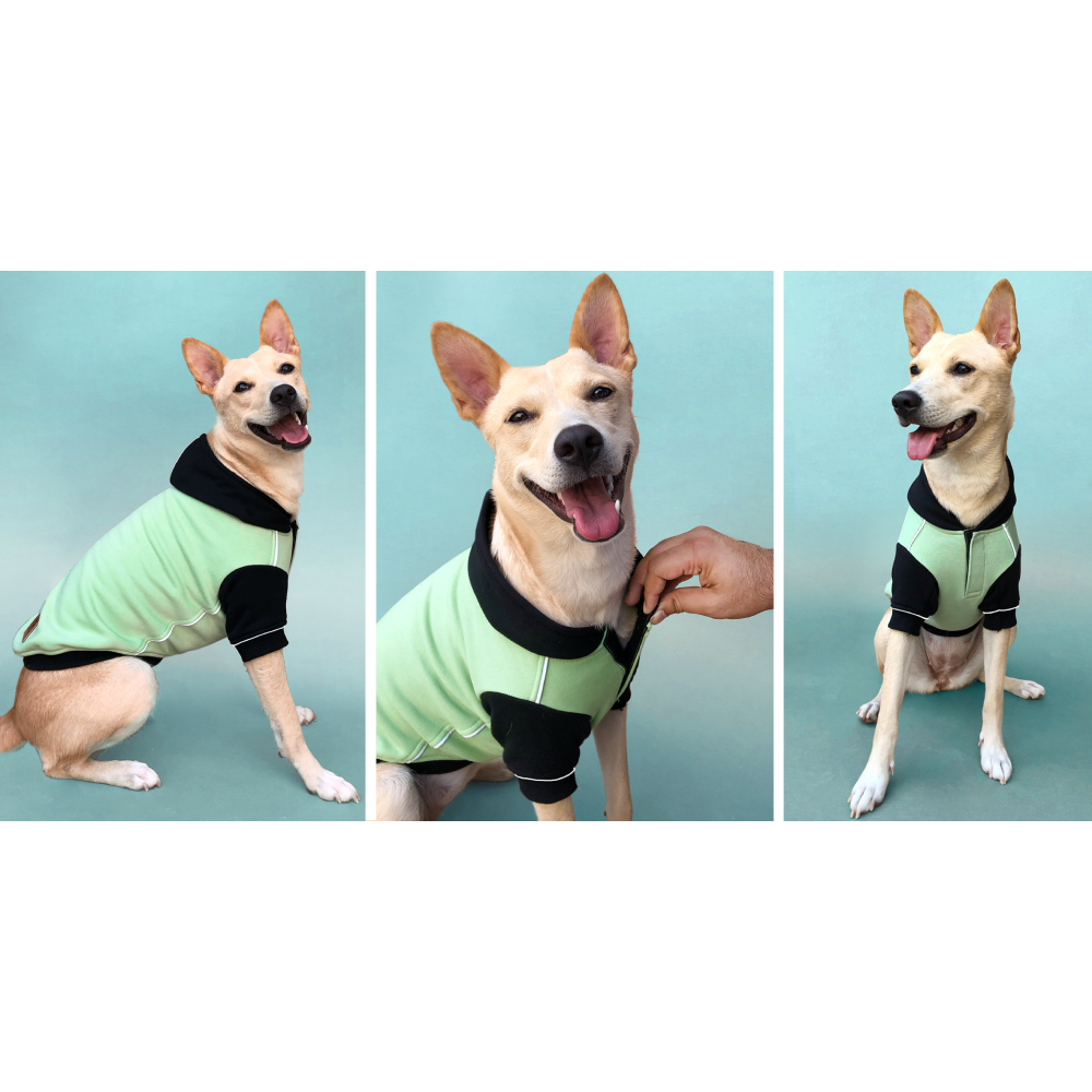 Pets Way Snowflake Sweatshirt for Dogs (Sage)