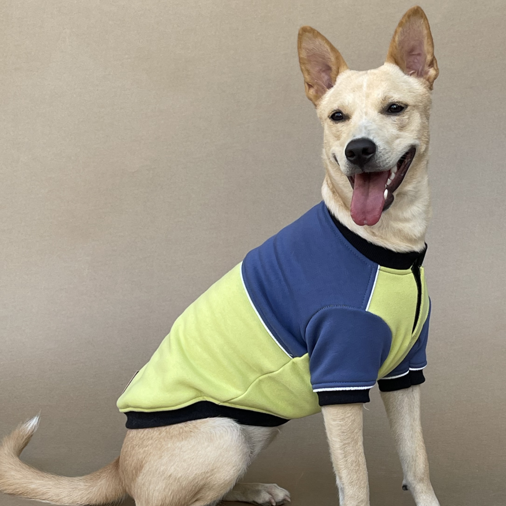 Pets Way Ice Fall Sweatshirt for Dogs (Lime)