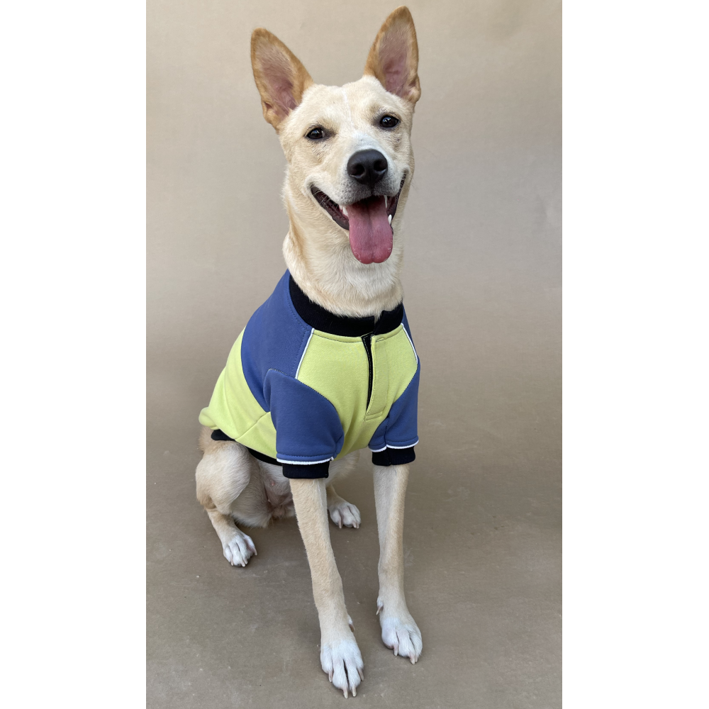 Pets Way Ice Fall Sweatshirt for Dogs (Lime)