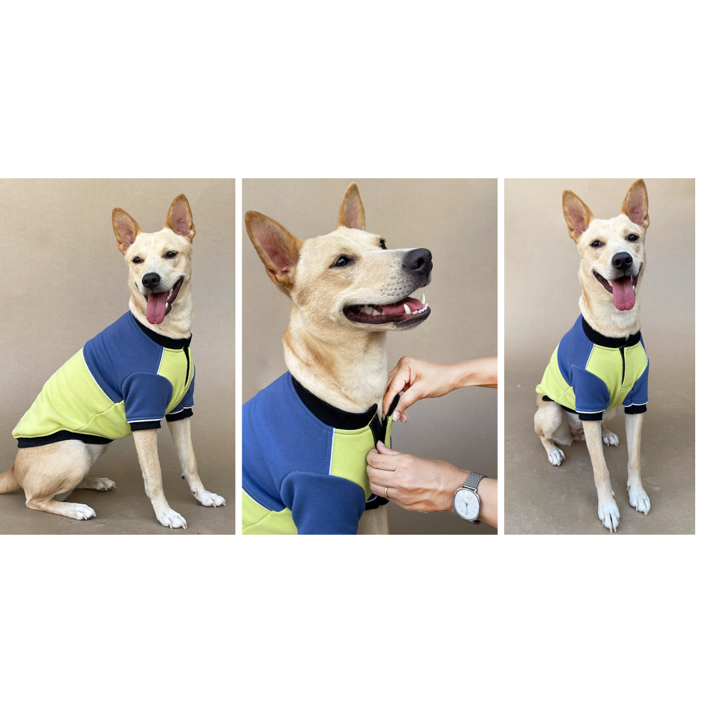Pets Way Ice Fall Sweatshirt for Dogs (Lime)