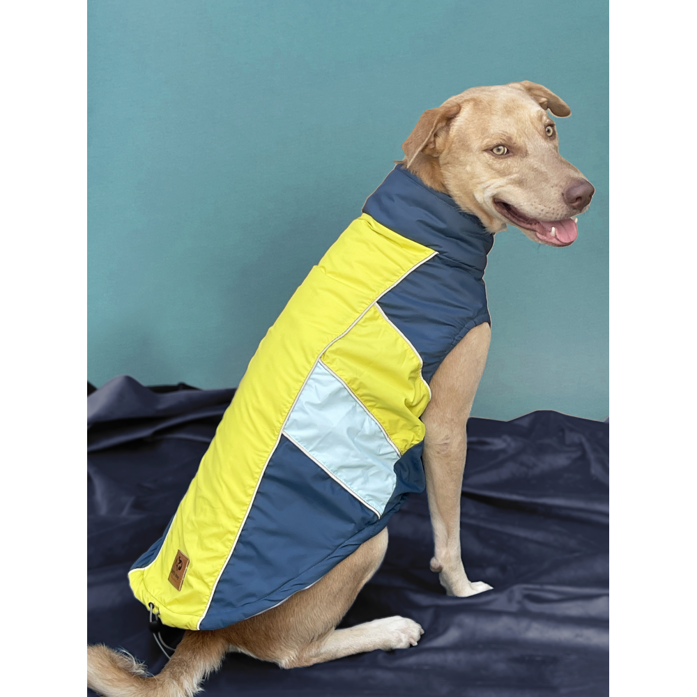 Pets Way Snug Puffer Winterberry Jacket for Dogs (Airforce)