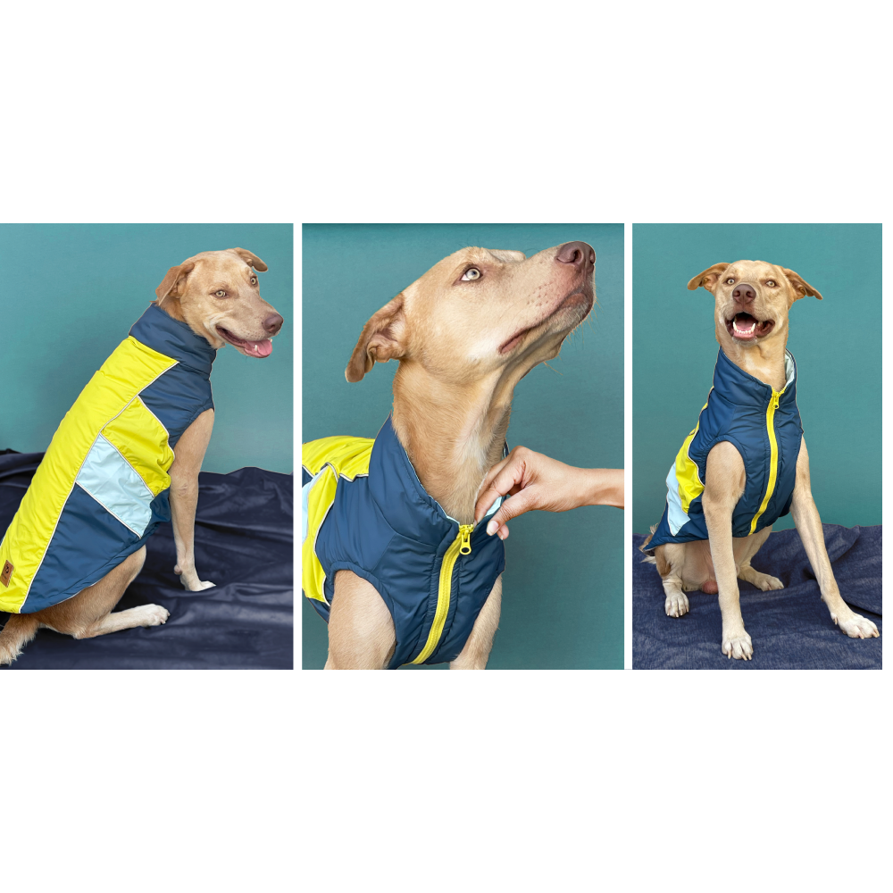Pets Way Snug Puffer Winterberry Jacket for Dogs (Airforce)