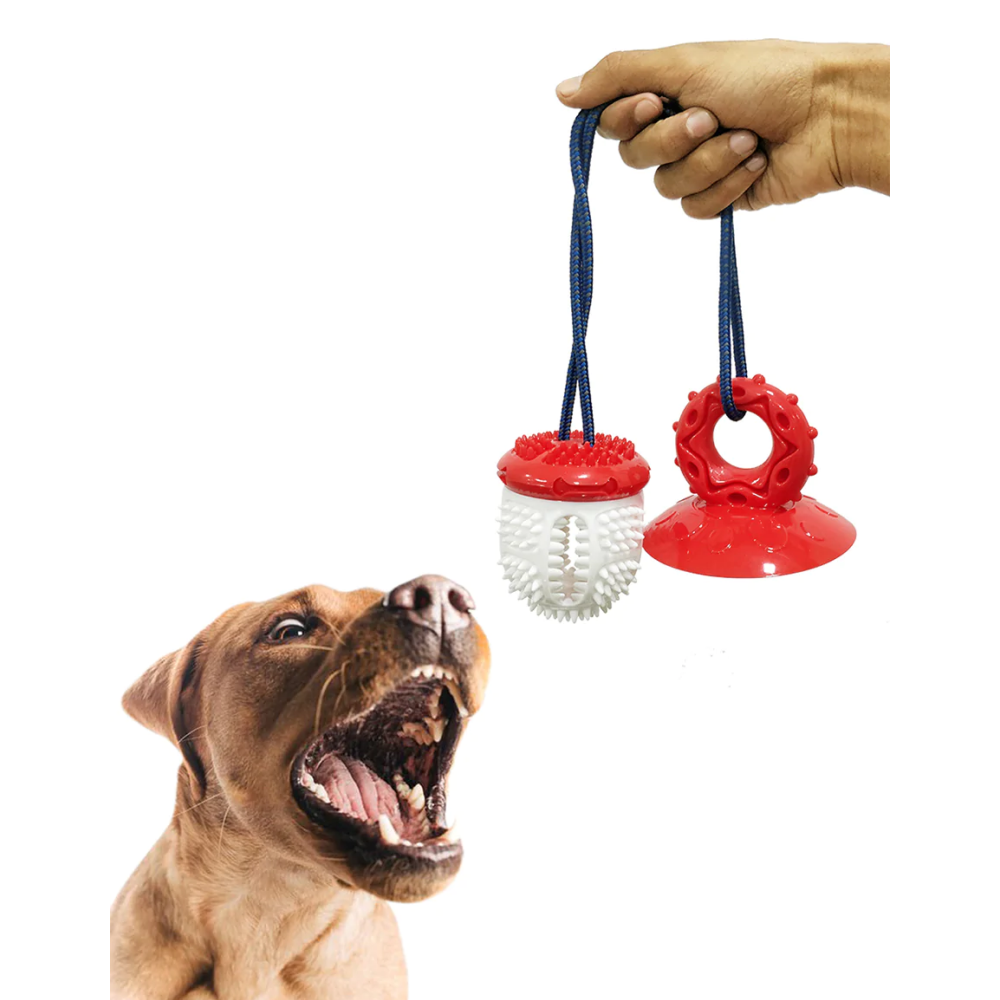 Pawsindia Tug Of Wall Supreme Toy for Dogs