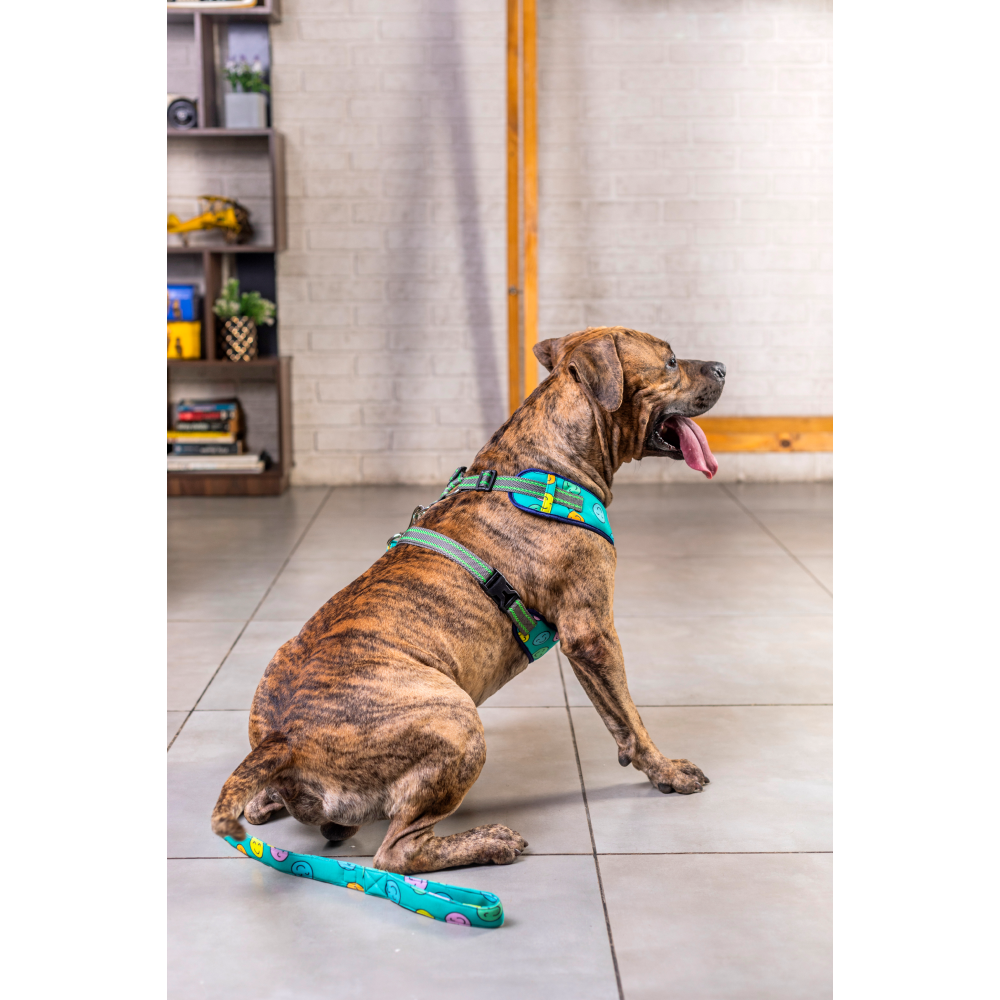 Pet And Parents (Namaste Pets) Happy Smiley Padded Harness + Leash for Dogs