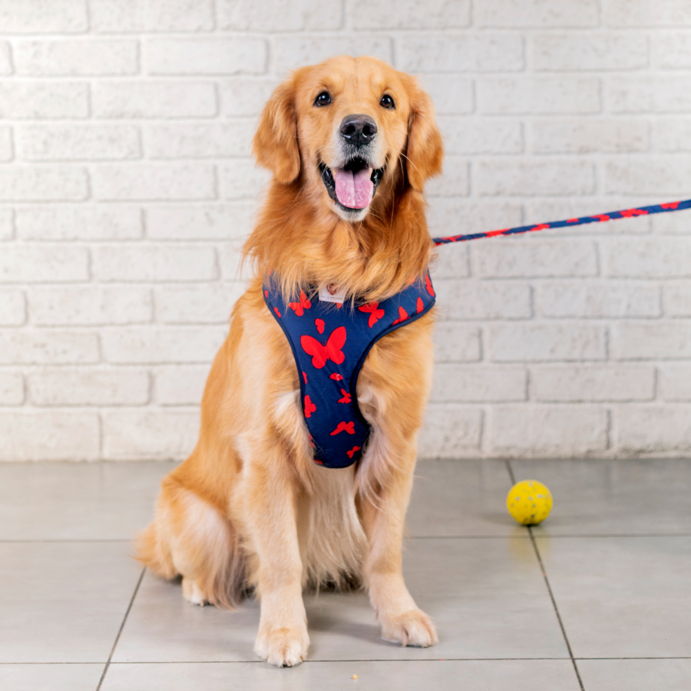 Pet And Parents (Namaste Pets) Floral Butterfly Reversible Harness for Dogs