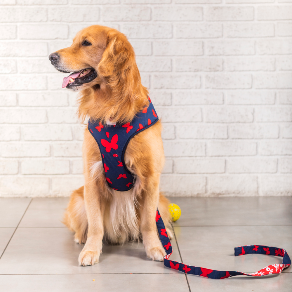 Pet And Parents (Namaste Pets) Floral Butterfly Reversible Harness for Dogs