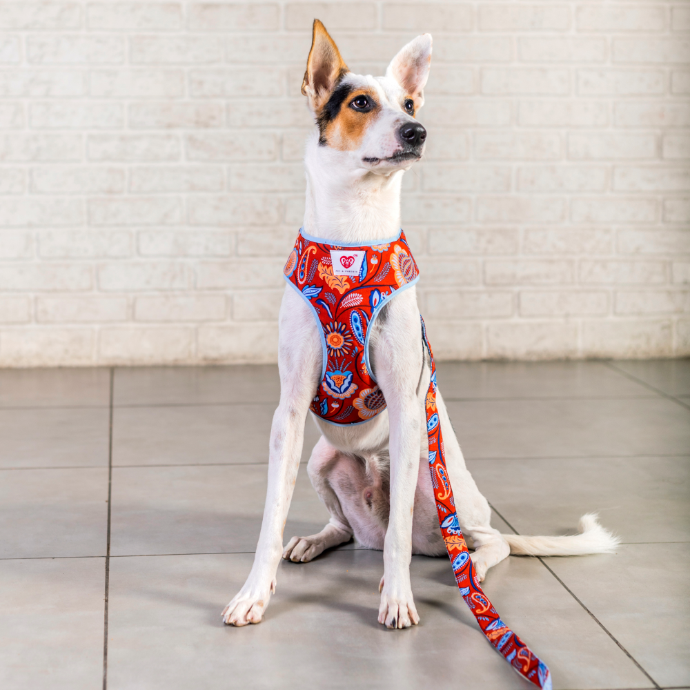 Pet And Parents (Namaste Pets) Indie Floral Reversible Harness for Dogs