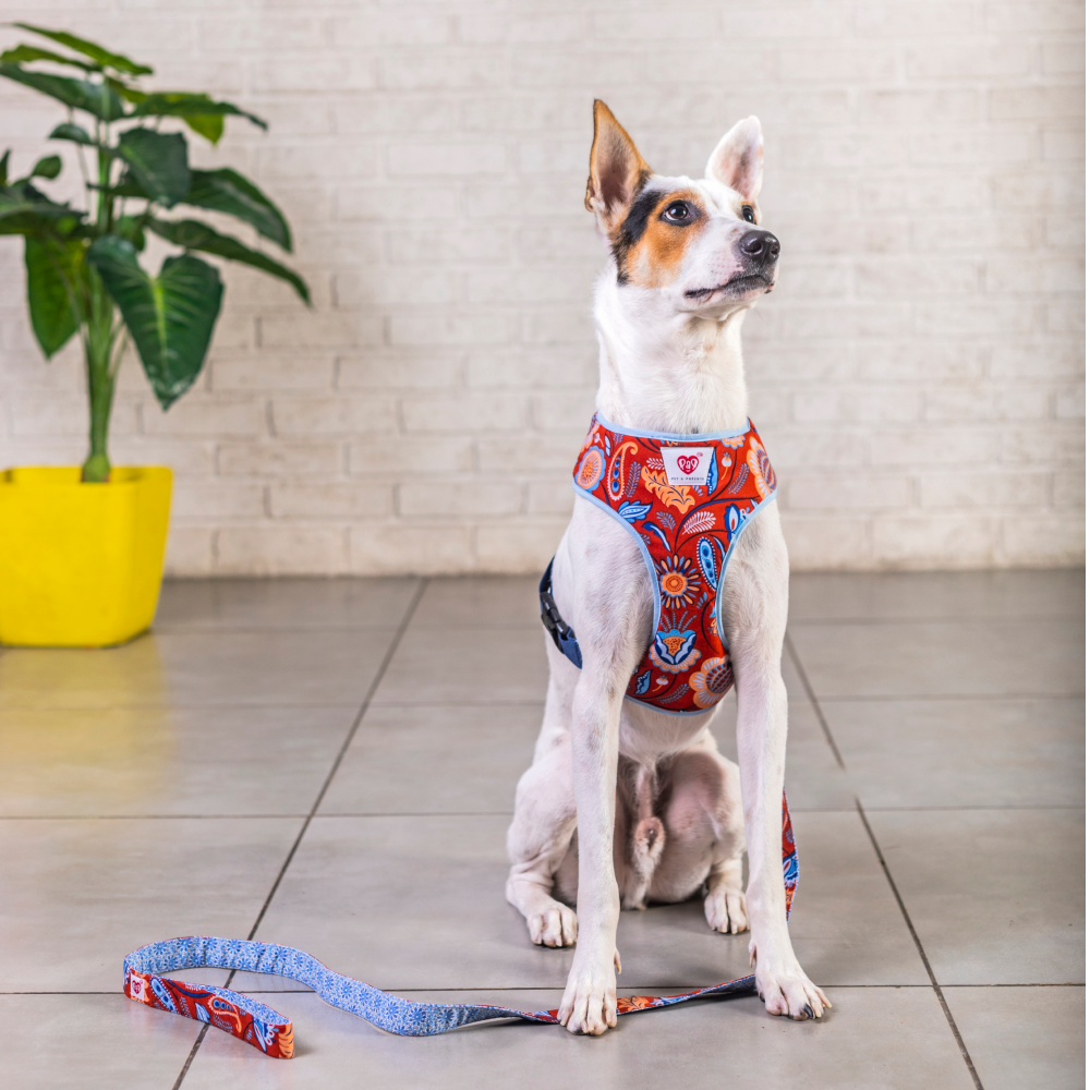 Pet And Parents (Namaste Pets) Indie Floral Reversible Harness for Dogs