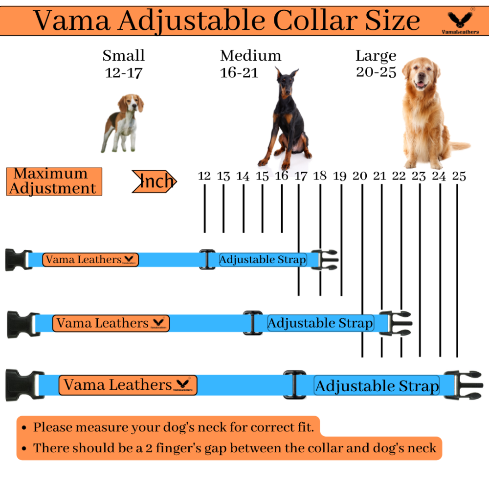 Vama Leathers All Weather Durable Everyday Collar for Dogs (Sunrise Orange)
