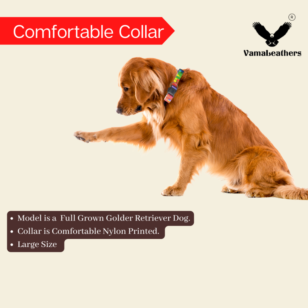 Vama Leathers Soft Durable Nylon Collar for Dogs (Cool Blue)