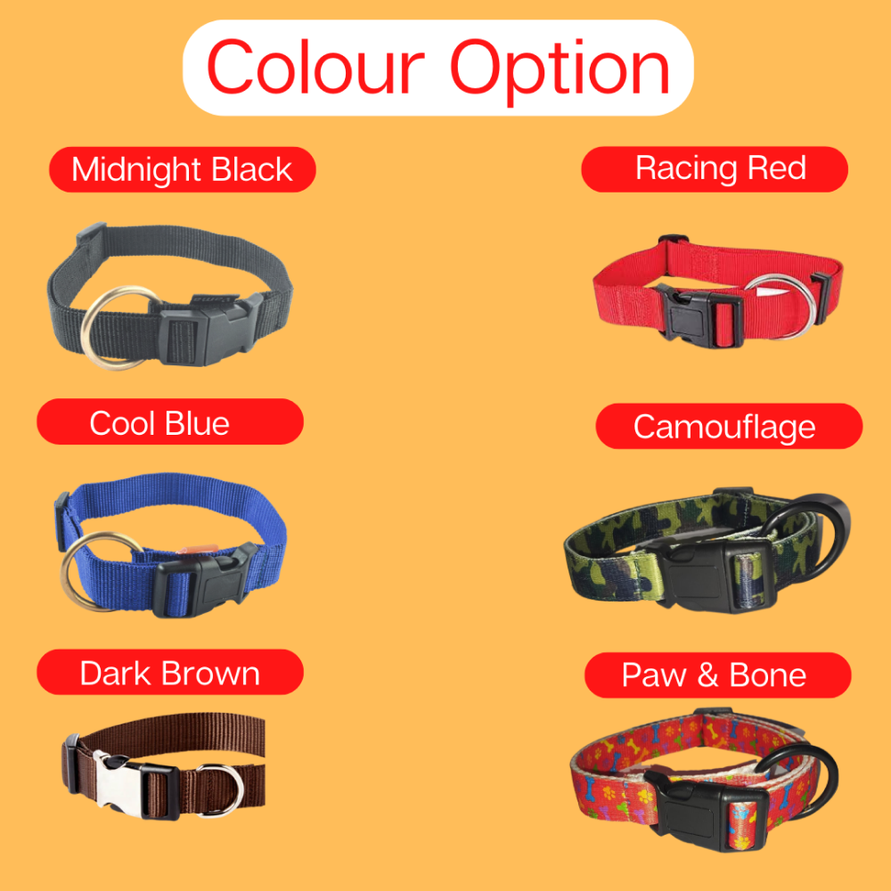 Vama Leathers Soft Durable Nylon Collar for Dogs (Cool Blue)