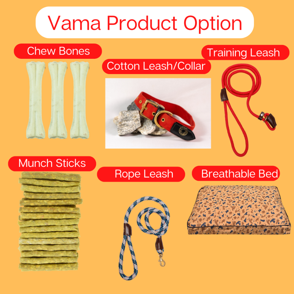 Vama Leathers Soft Durable Nylon Collar for Dogs (Midnight Black)