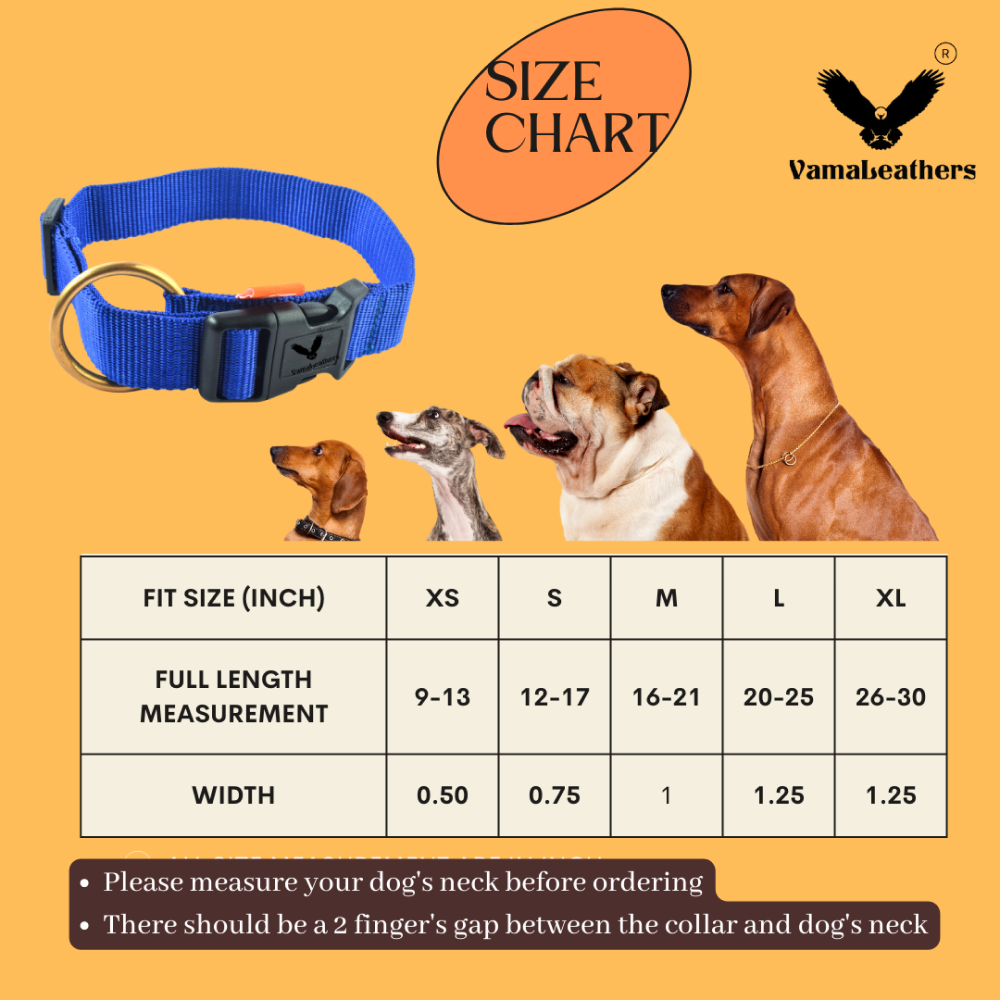 Vama Leathers Soft Durable Nylon Collar for Dogs (Cool Blue)