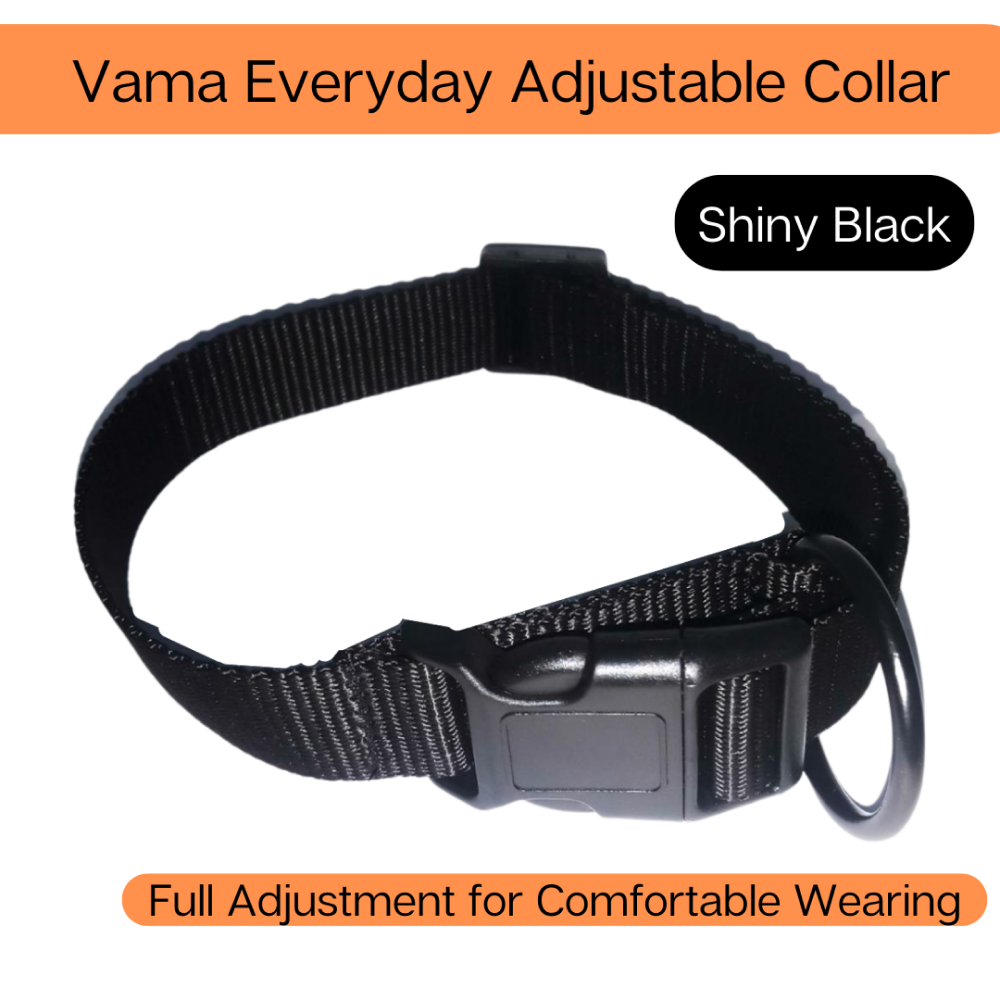 Vama Leathers All Weather Durable Everyday Collar for Dogs (Shiny Black)