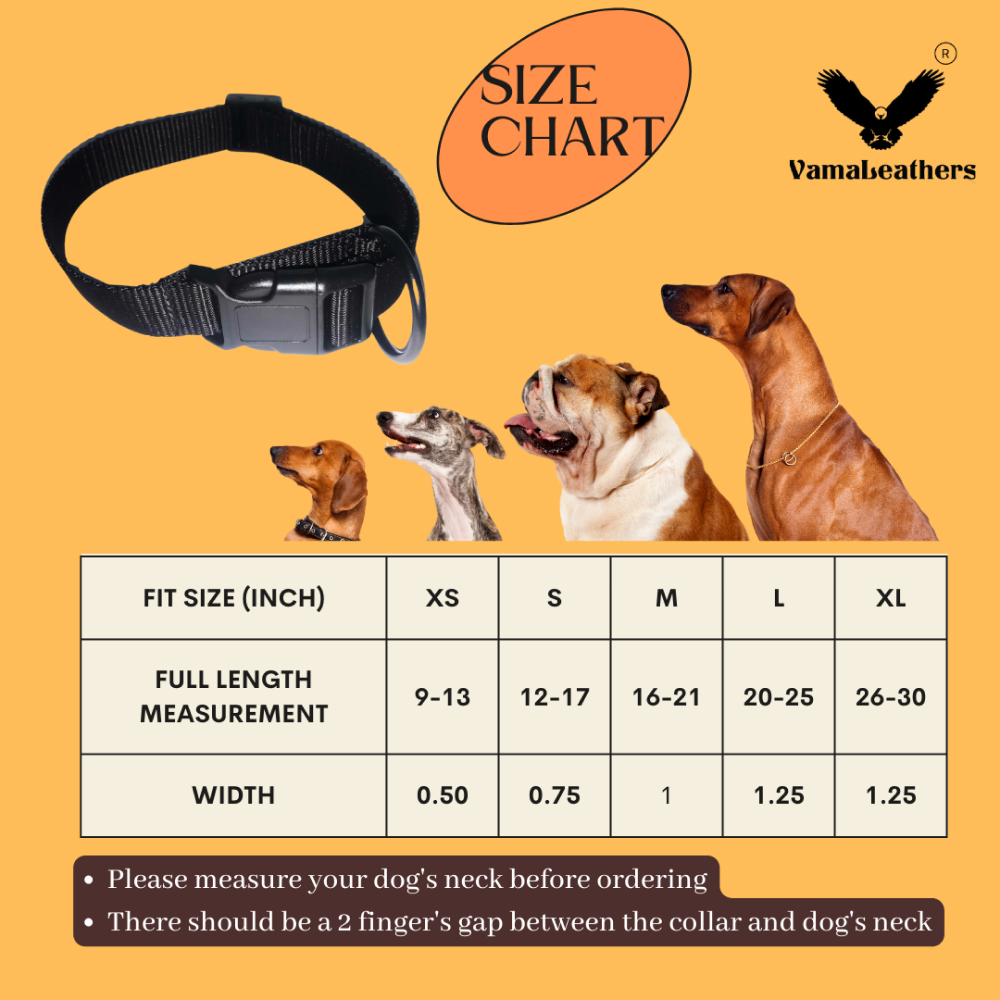 Vama Leathers All Weather Durable Everyday Collar for Dogs (Shiny Black)