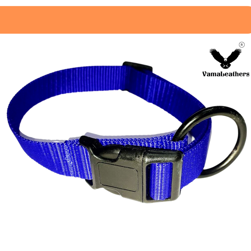 Vama Leathers All Weather Durable Everyday Collar for Dogs (Electric Blue)