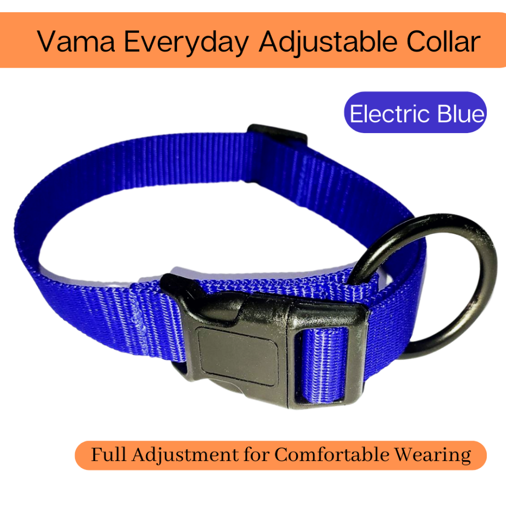 Vama Leathers All Weather Durable Everyday Collar for Dogs (Electric Blue)