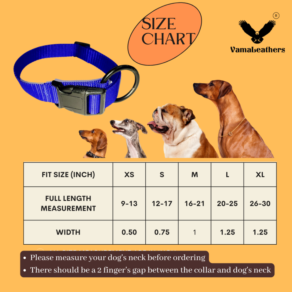 Vama Leathers All Weather Durable Everyday Collar for Dogs (Electric Blue)