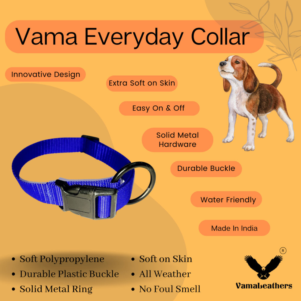 Vama Leathers All Weather Durable Everyday Collar for Dogs (Electric Blue)