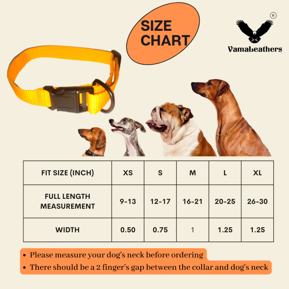 Vama Leathers All Weather Durable Everyday Collar for Dogs (Sunrise Orange)
