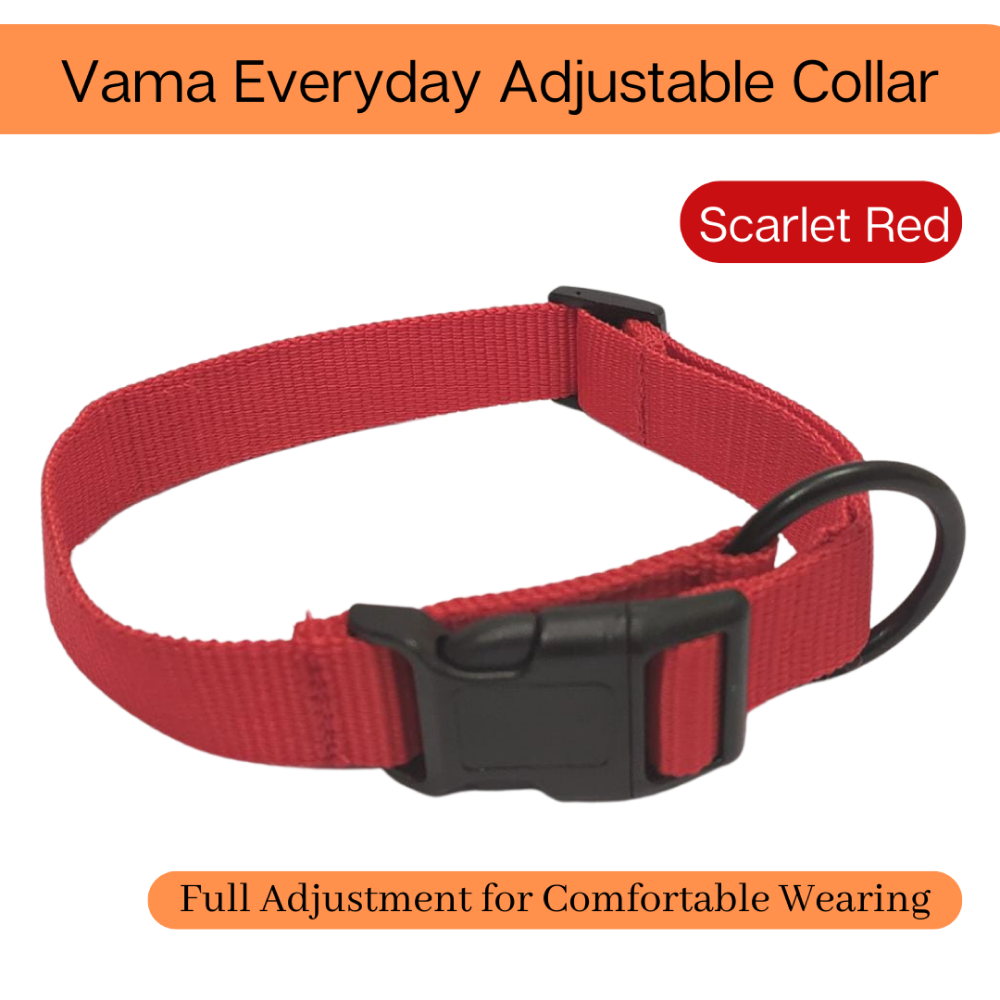 Vama Leathers All Weather Durable Everyday Collar for Dogs (Scarlet Red)
