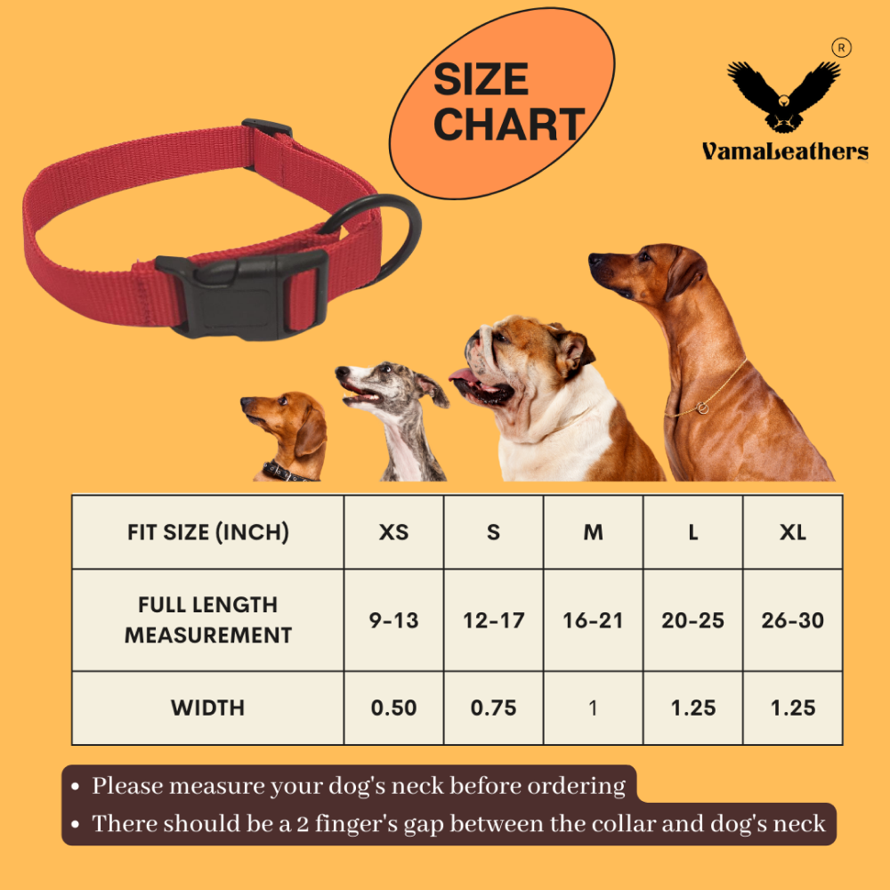 Vama Leathers All Weather Durable Everyday Collar for Dogs (Scarlet Red)