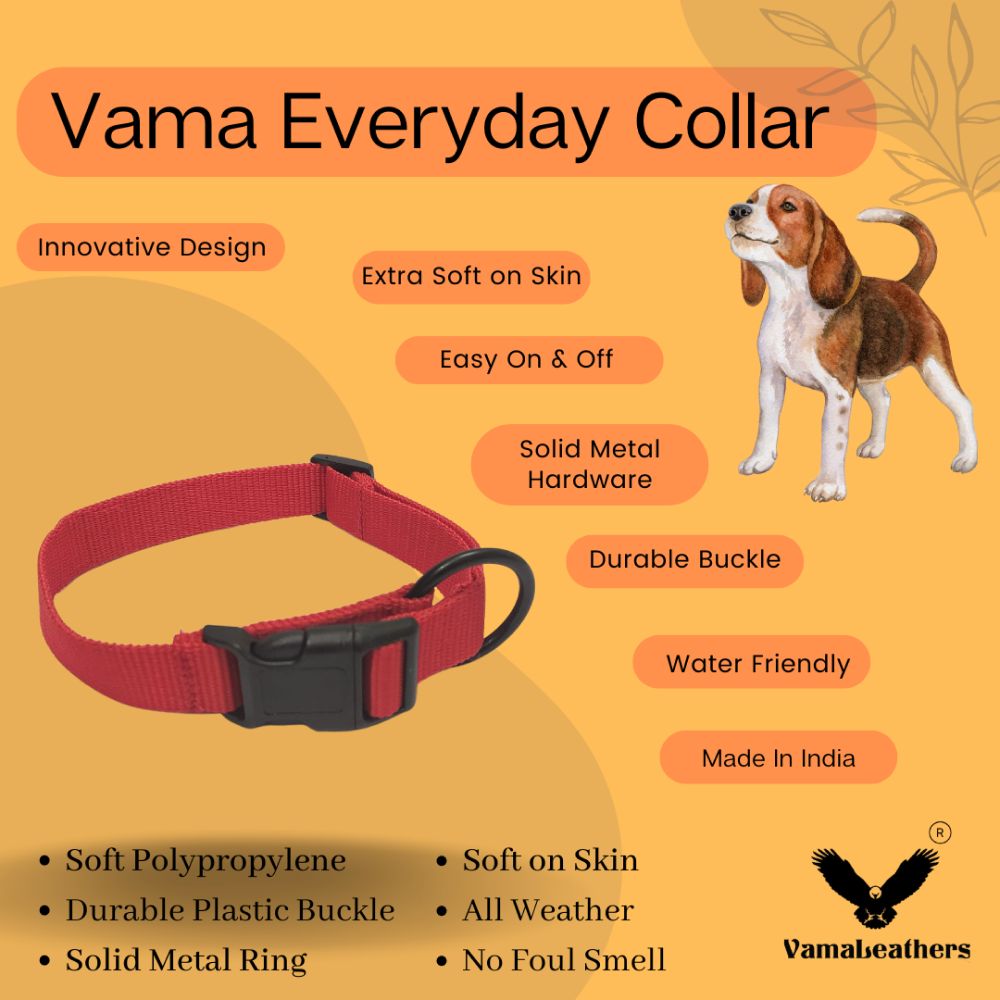 Vama Leathers All Weather Durable Everyday Collar for Dogs (Scarlet Red)