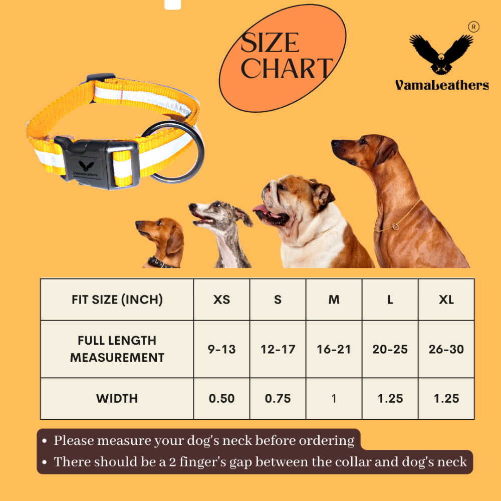 Vama Leathers Night Visible Reflective All Weather Everyday Collar for Dogs (Sunrise Orange)