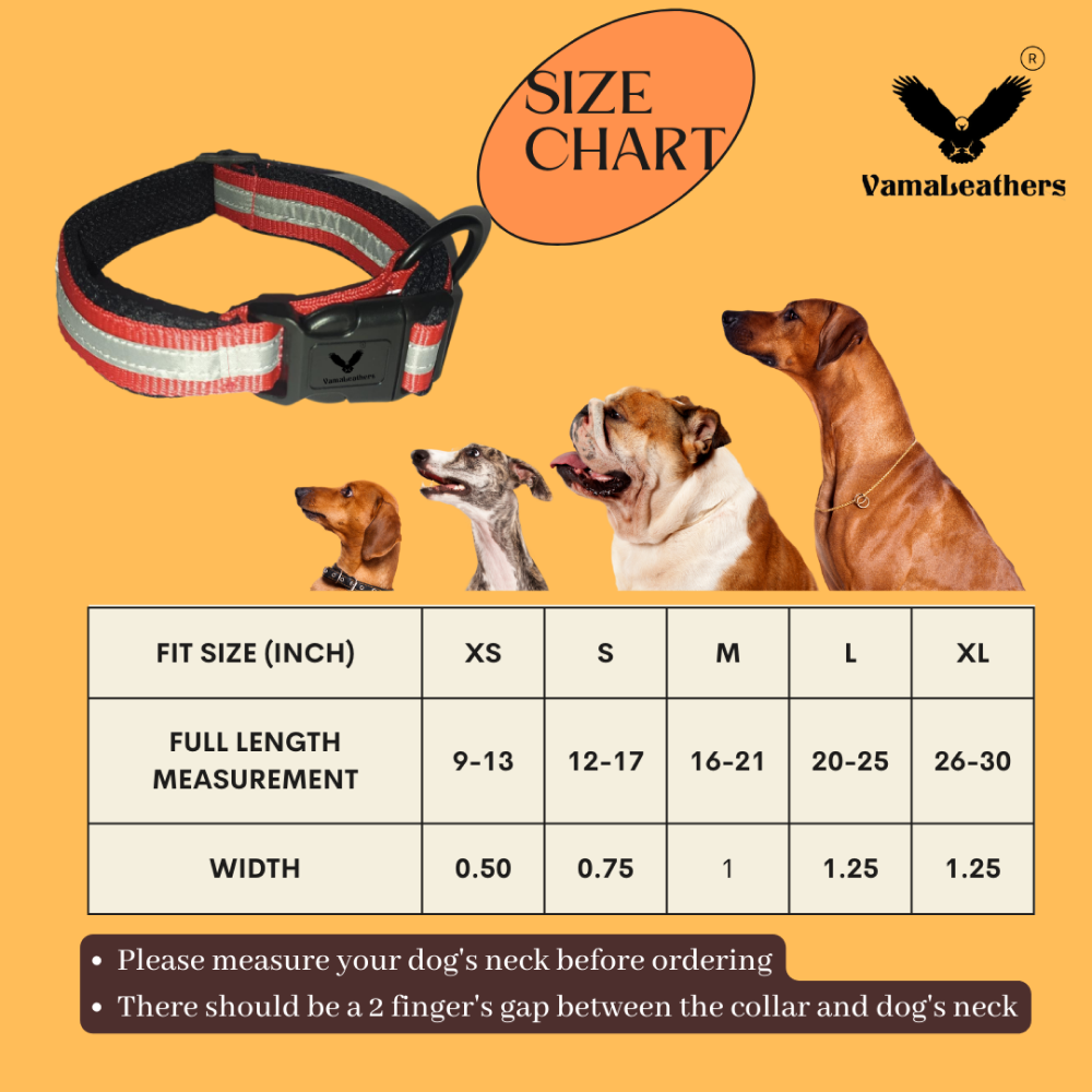 Vama Leathers Night Visible Reflective All Weather Everyday Collar for Dogs (Scarlet Red)