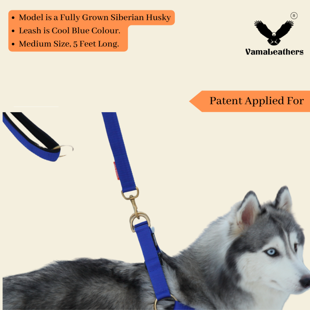 Vama Leathers Super Strong Soft Handle All Weather Leash for Dogs (Sunrise Orange)