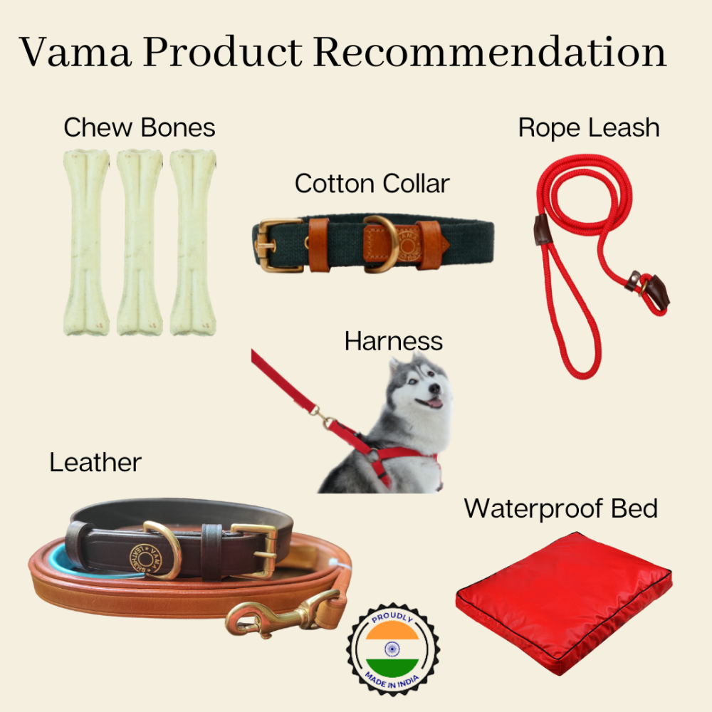 Vama Leathers Super Strong & Durable Nylon Leash for Dogs (Midnight Black)