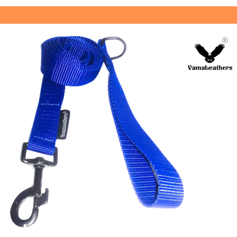 Vama Leathers Super Strong & Durable Nylon Leash for Dogs (Cool Blue)