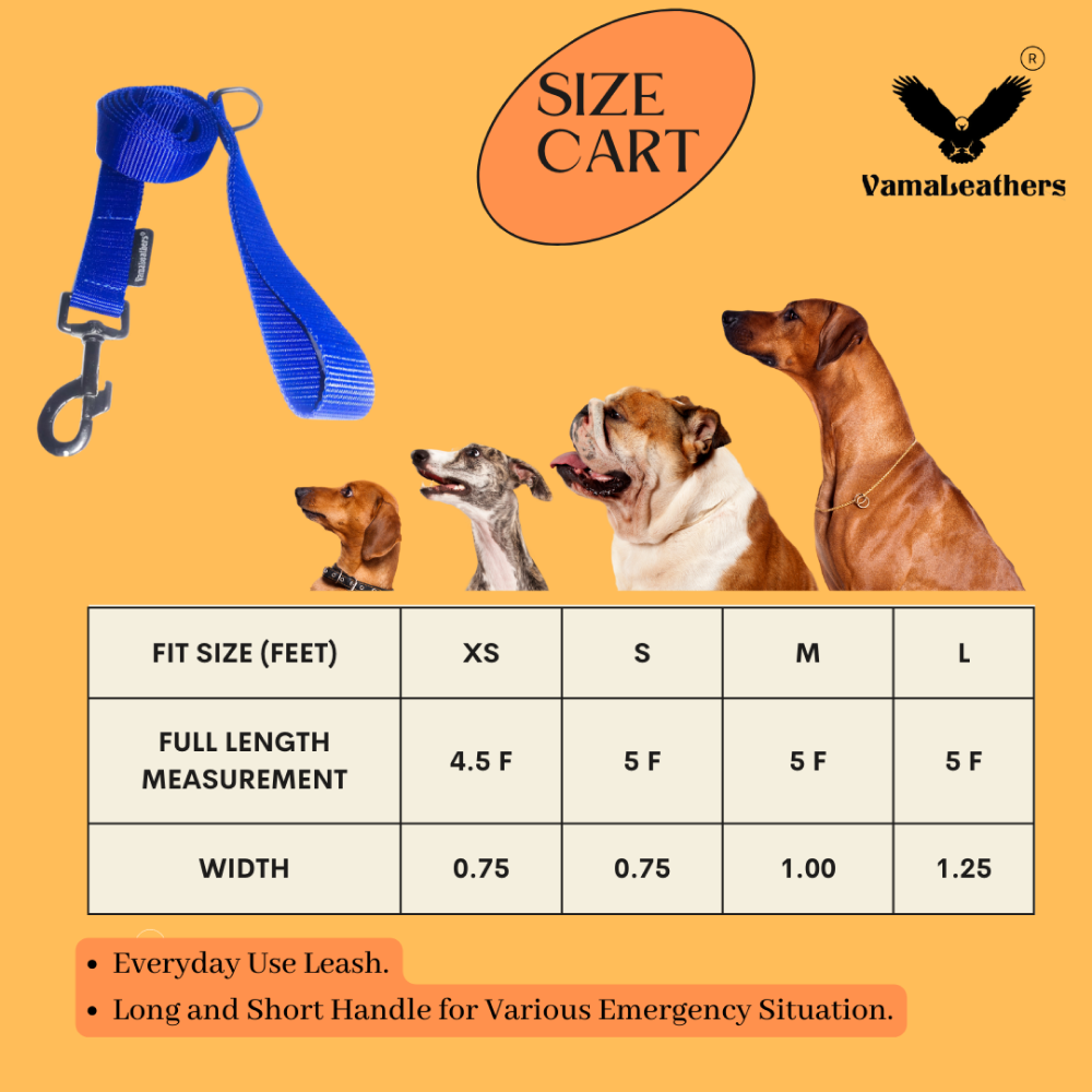 Vama Leathers Super Strong & Durable Nylon Leash for Dogs (Cool Blue)