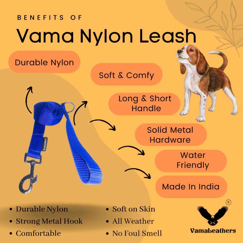 Vama Leathers Super Strong & Durable Nylon Leash for Dogs (Cool Blue)