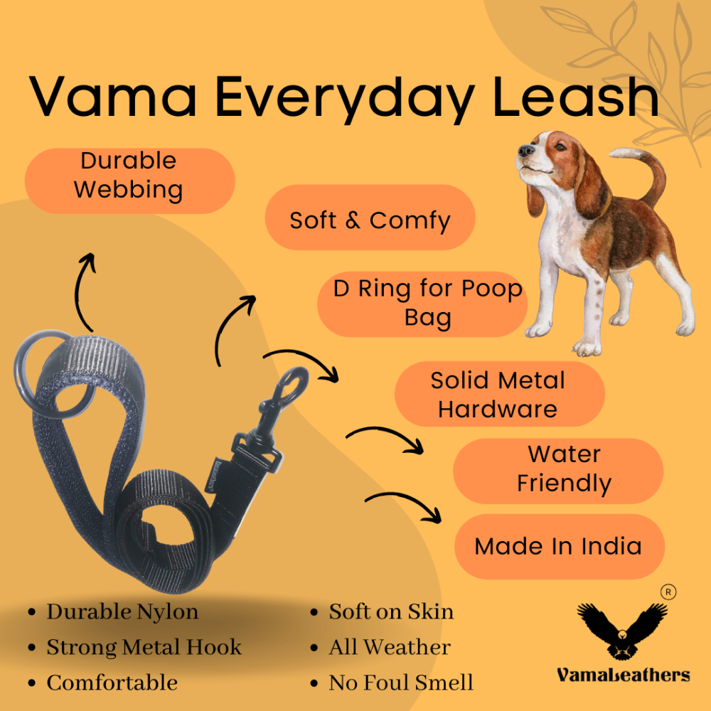 Vama Leathers Super Strong Soft Handle All Weather Leash for Dogs (Shiny Black)